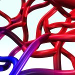 10 Tips Menjaga Elastisitas Pembuluh Darah