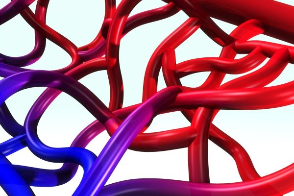 10 Tips Menjaga Elastisitas Pembuluh Darah