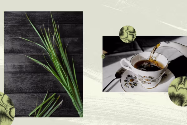 10 Rekomendasi Herbal untuk Meredakan Sakit Bahu