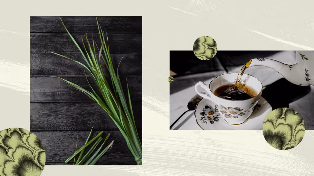 10 Rekomendasi Herbal untuk Meredakan Sakit Bahu
